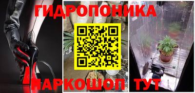 ПСИЛОЦИБИНОВЫЕ ГРИБЫ Краснокаменск