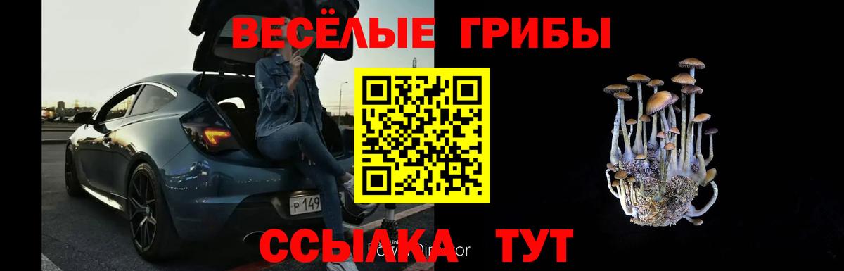 Галлюциногенные грибы MAGIC MUSHROOMS Каспийск
