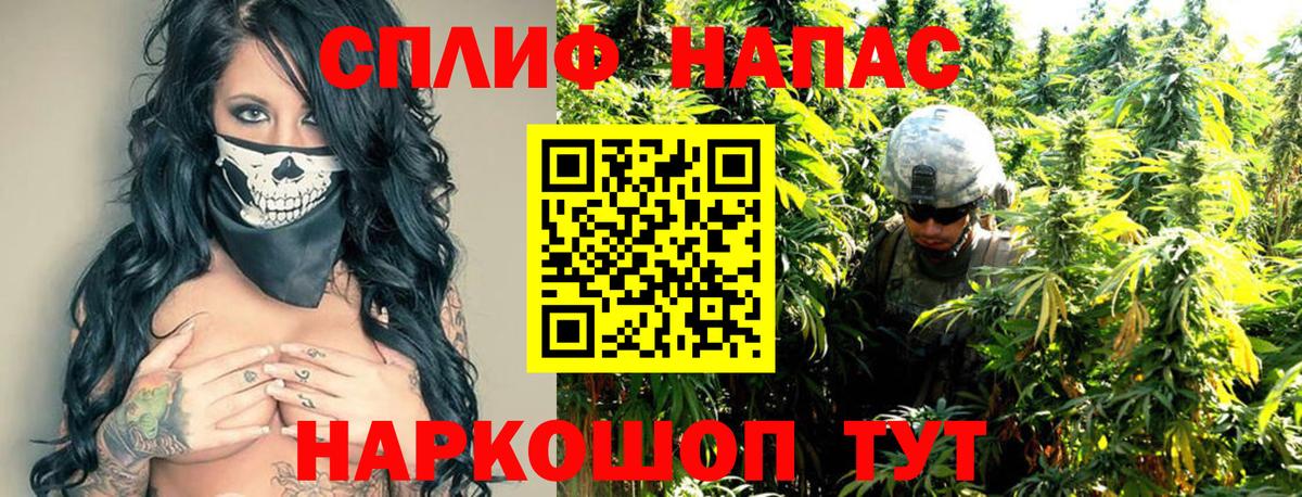Конопля план  Марихуана LSD WEED  Каспийск  Вход с VPN  Бошки марихуана сатива 